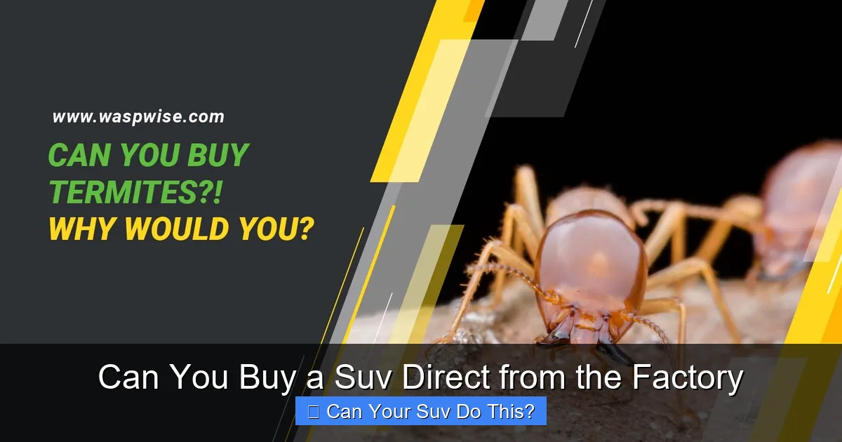 Can You Buy a Suv Direct from the Factory