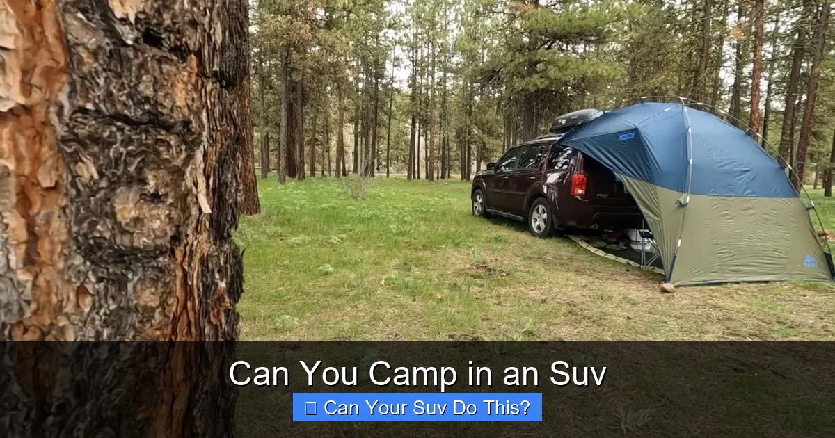 Can You Camp in an Suv