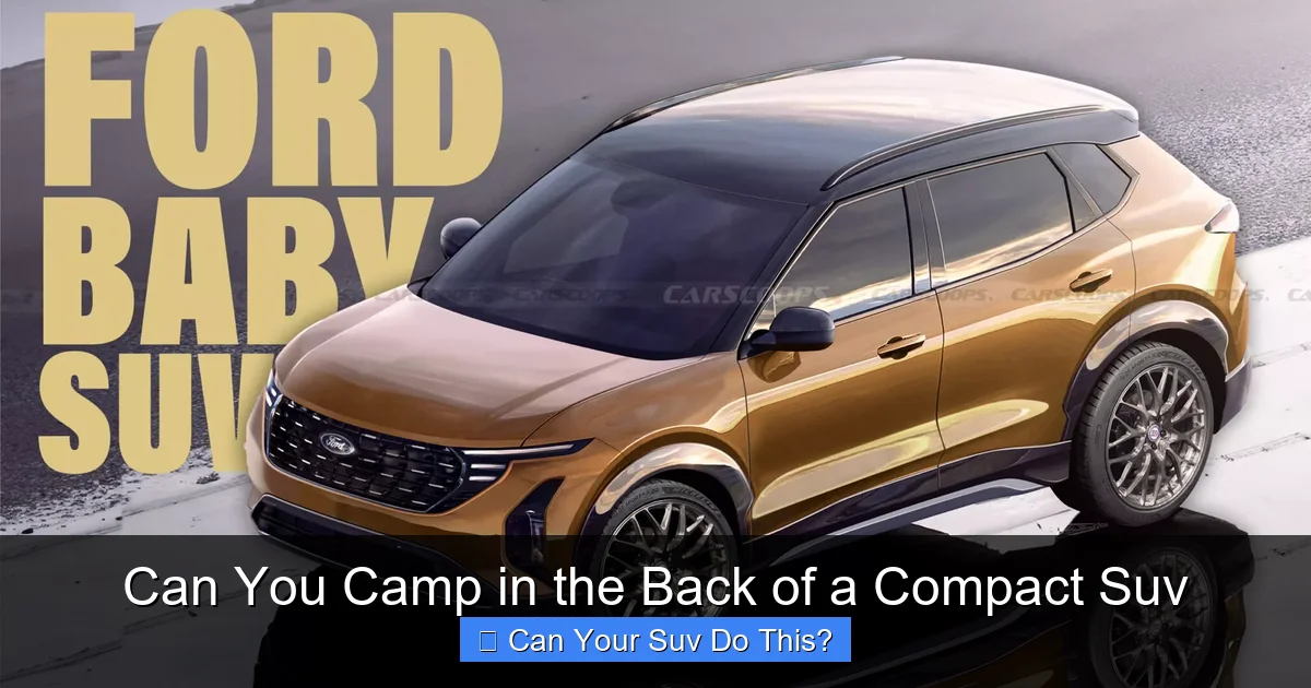 Can You Camp in the Back of a Compact Suv