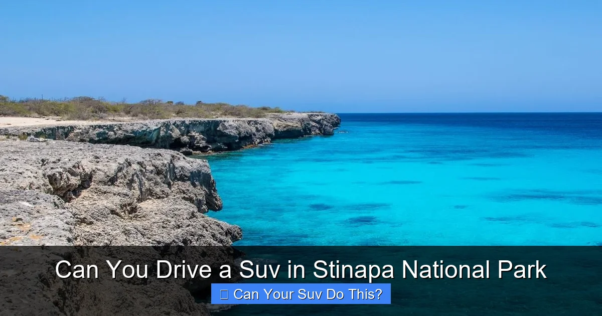 Can You Drive a Suv in Stinapa National Park