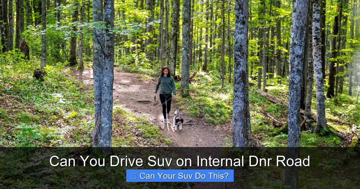 Can You Drive Suv on Internal Dnr Road