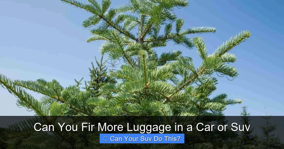 Can You Fir More Luggage in a Car or Suv