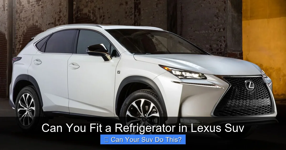 Can You Fit a Refrigerator in Lexus Suv