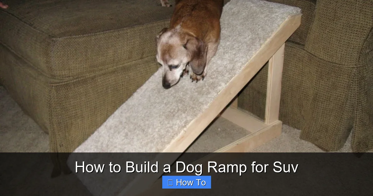 How to Build a Dog Ramp for Suv