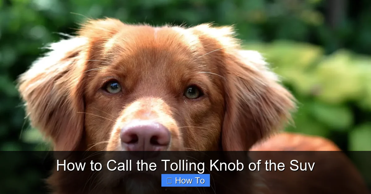 How to Call the Tolling Knob of the Suv