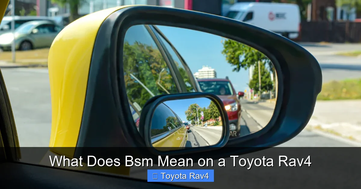 What Does Bsm Mean on a Toyota Rav4