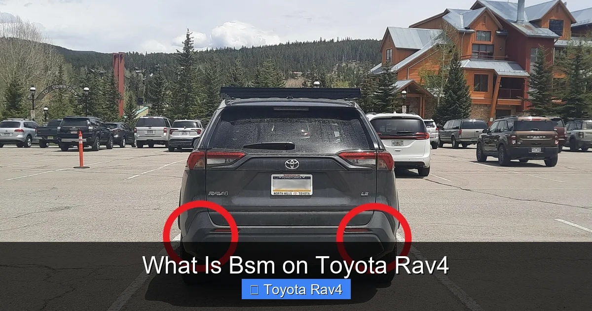 What Is Bsm on Toyota Rav4