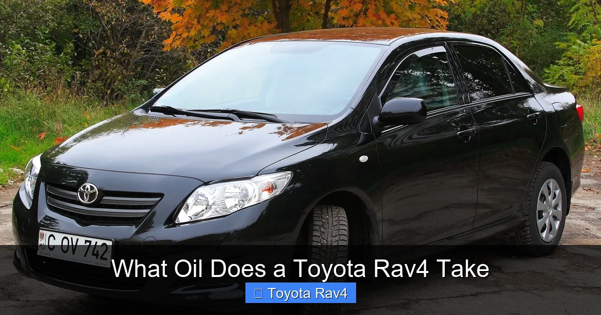 What Oil Does a Toyota Rav4 Take